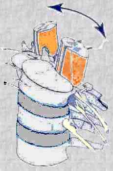 009.gif (31331 octets)