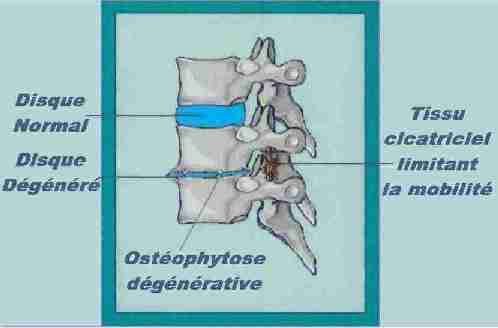 Image05.jpg (9129 octets)